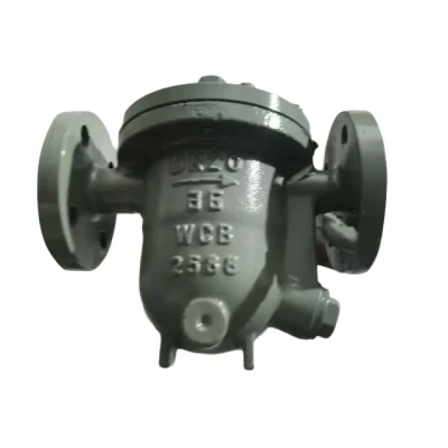Steam Trap