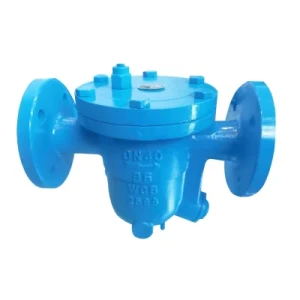 Steam Trap