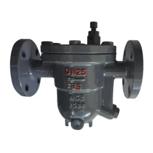 Steam Trap
