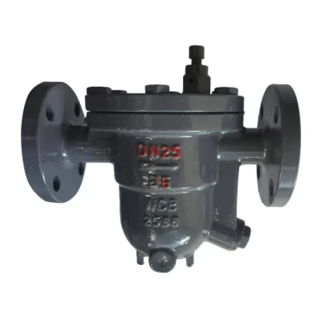 Steam Trap