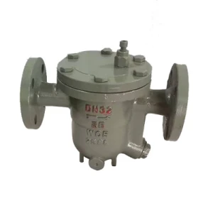 Steam Trap