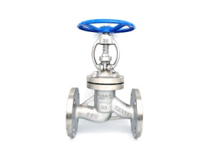 Flanged globe valve