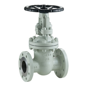 DIN standard gate valve