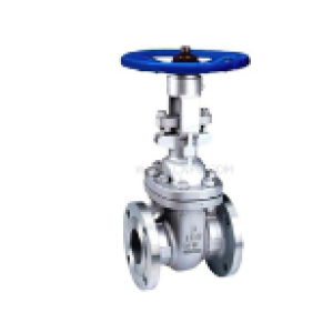 Class 150~1500 Flange Gate Valve