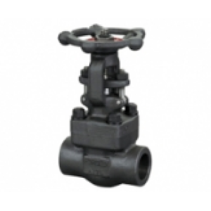 Class 800 Forged Steel Gate Valve