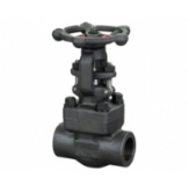 Class 800 Forged Steel Gate Valve