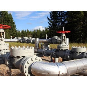All You Need to Know about Wafer Check Valve