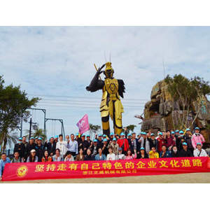 Hejiang Zhengwei Group Building Activity Report