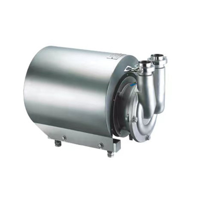 Double Head Self-priming Pump