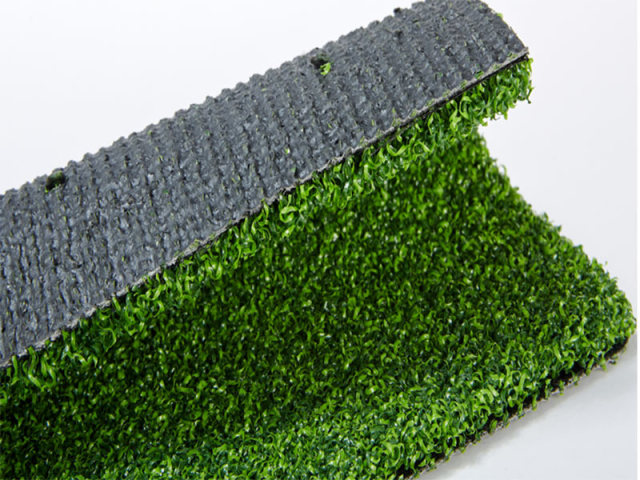 Artificial Grass