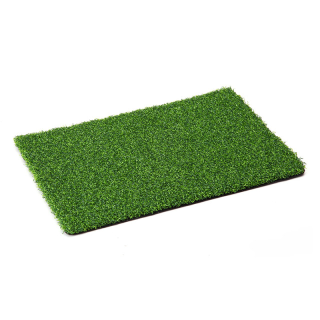 Artificial Grass