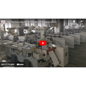 Label Flat Die Cutting Machine (Double Foil Stamping stations)
